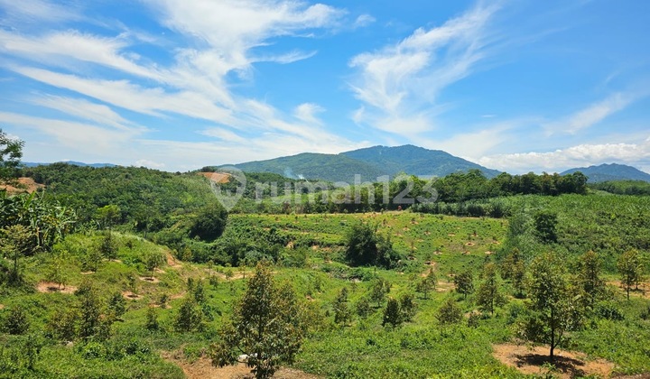 Dijual Kebun Bogor 4.67+ Hektar !! Jalan Raya Jasinga, Bogor. (Lengkap dengan 400+ Pohon Durian dan Mangga !!)