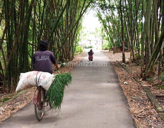 Dijual TANAH KEBUN di Jl Panembahan Rawalo | bisa dilalui mobil 2