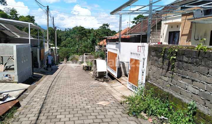 For Sale New House In Tabanan Good House For Sale New House In Tabanan Good House