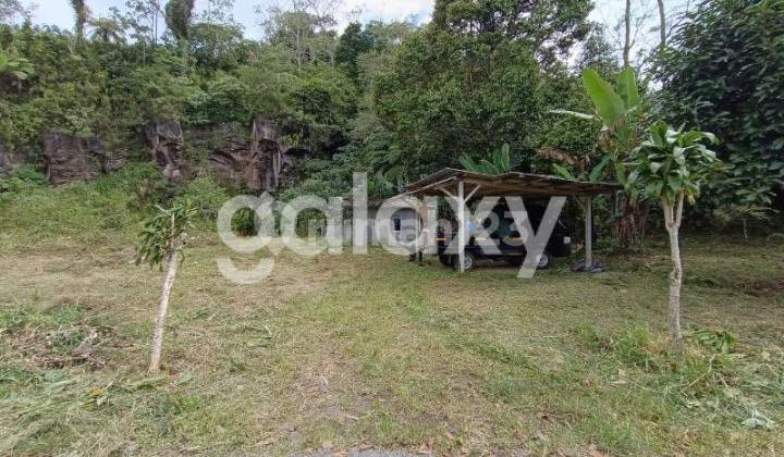 TANAH KEBUN DI RAYA BATURITI TABANAN, BALI TANAH KEBUN DI RAYA BATURITI TABANAN, BALI