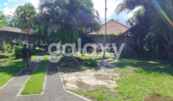 TANAH DAERAH WISATA DI RAYA SAYAN SINGAKERTA UBUD GIANYAR, BALI TANAH DAERAH WISATA DI RAYA SAYAN SINGAKERTA UBUD GIANYAR, BALI