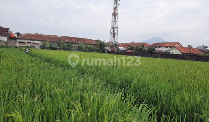 Sawah lokasi strategis di rancaekek