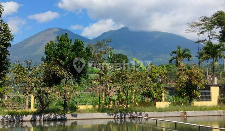 Villa Murah Suasana Asri Jalan Kadungora Kota Garut Villa Murah Suasana Asri Jalan Kadungora Kota Garut