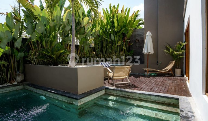 Villa 2Br Rice Field View In Canggu Villa 2Br Rice Field View In Canggu