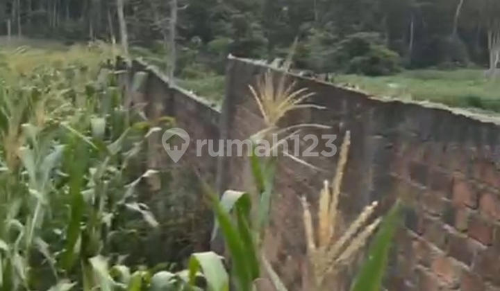 Tanah 4.6ha Di Baturaja Timur Lokasi Strategis. Untuk Perijinan Pembangunan Lokasi Akan Dibantu Oleh Pihak Pemilik