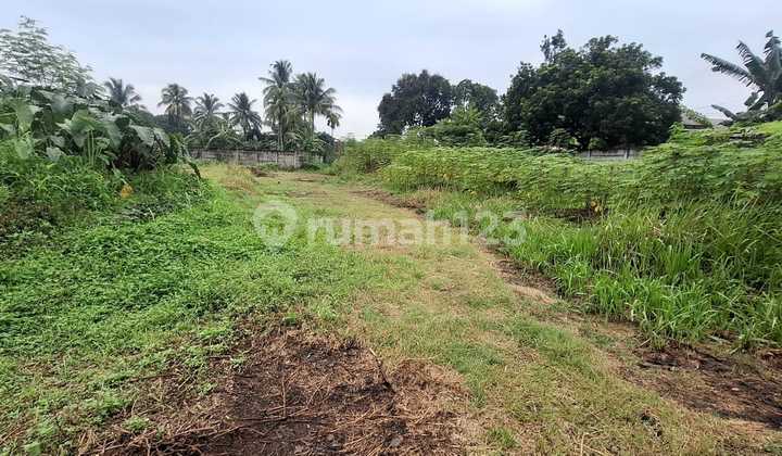 Tanah SHM Lokasi Strategis di Pondok Udik, Kemang, Bogor Tanah SHM Lokasi Strategis di Pondok Udik, Kemang, Bogor