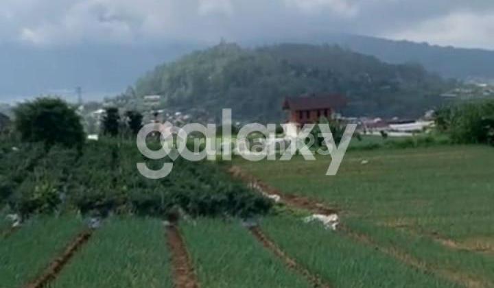 TANAH DI CANDIKUNING BATURITI BEDUGUL TABANAN, BALI