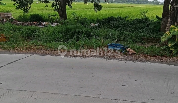 Tanah Zona Industri, Lokasi Sukodono, Cocok untuk Pergudangan Tanah Zona Industri, Lokasi Sukodono, Cocok untuk Pergudangan