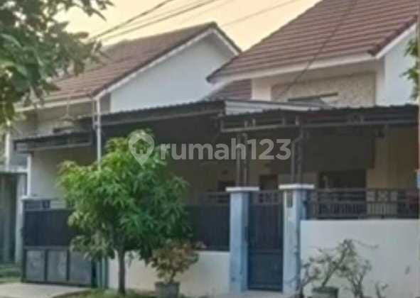 Rumah murah di gedangan 10mnt ke alun alun SDA pengembang Jaya Land Rumah murah di gedangan 10mnt ke alun alun SDA pengembang Jaya Land