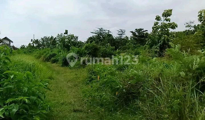 Nurcholis majid tunggorono