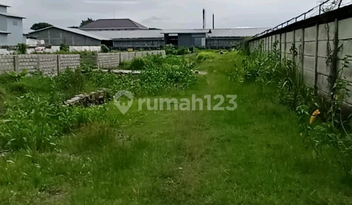 Nurcholis majid tunggorono