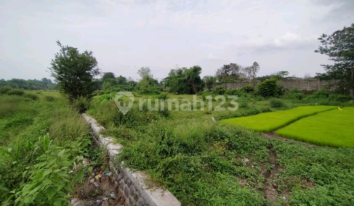Krangkeng Wetan Sukorejo Land 1.4 HA Good Rural View