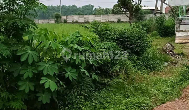 Tanah Luas Strategis Jatirejo Mojokerto View Pedesaan Tanah Luas Strategis Jatirejo Mojokerto View Pedesaan