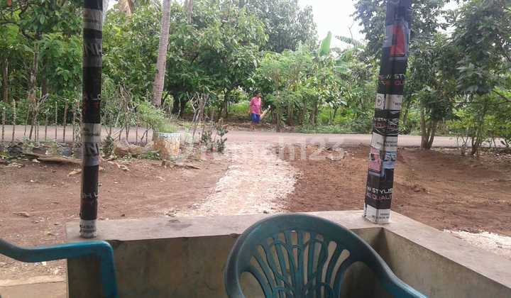 Quick Sale: 1.9 Ha Land in Bernung Lampung - Negotiable Price!