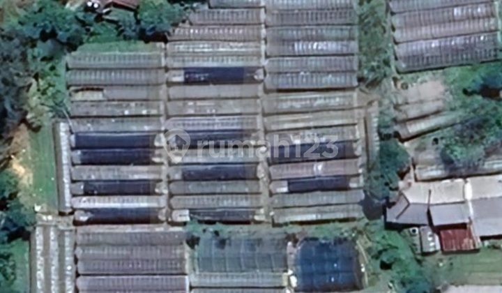 Tanah Perkebunan Sayur Padusan Pacet Mojokerto Kawasan Villa Asri Tanah Perkebunan Sayur Padusan Pacet Mojokerto Kawasan Villa Asri