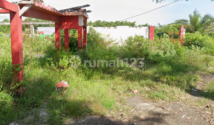 Agricultural Land Tamansari Dringu Probolinggo Strategic Location