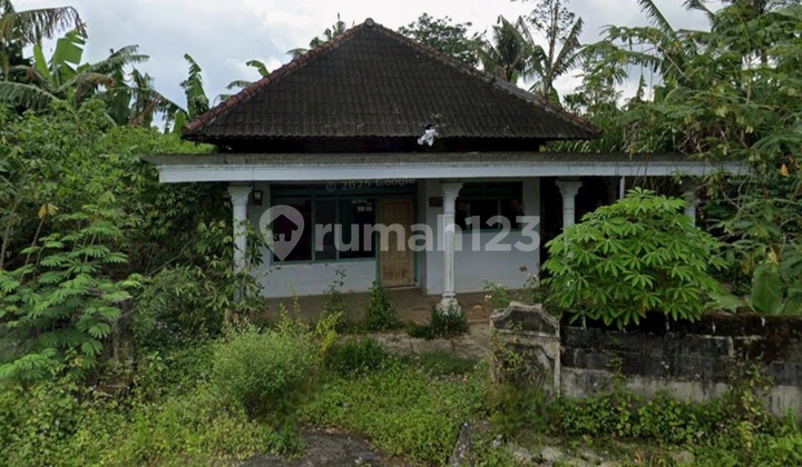 Cheap Plantation Land in Doko Blitar Area Suitable for Livestock Farming