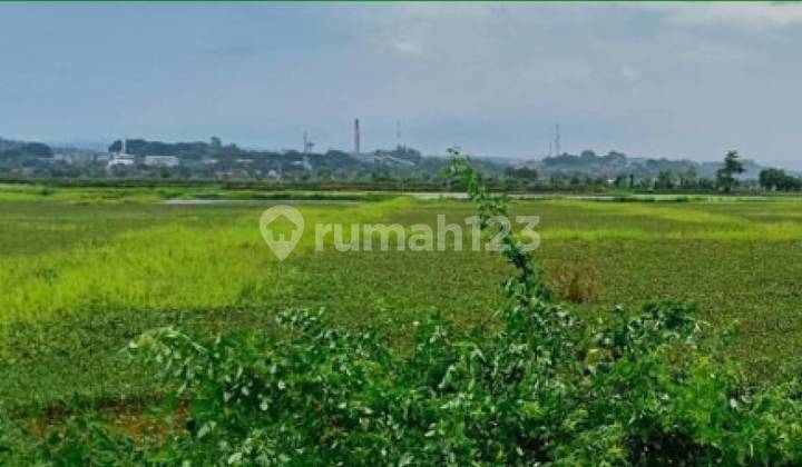 Land for Sale – Strategic Location Near KIK Kendal Land for Sale – Strategic Location Near KIK Kendal