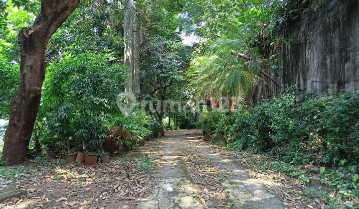 Lahan Siap Bangun di Area Kemang Pejaten Jakarta Selatan Lahan Siap Bangun di Area Kemang Pejaten Jakarta Selatan