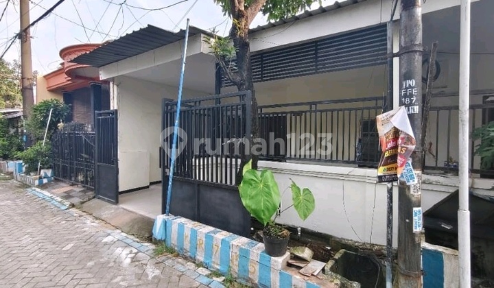 Disewakan Rumah di Tropodo Sidoarjo Disewakan Rumah di Tropodo Sidoarjo