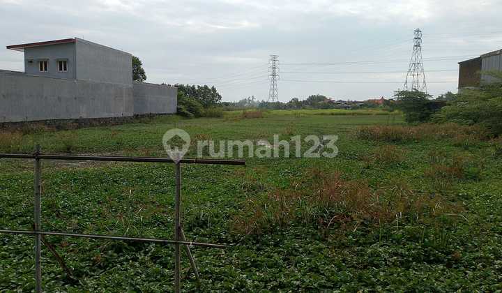 DIJUAL TANAH SAWAH bypass Krian DIJUAL TANAH SAWAH bypass Krian