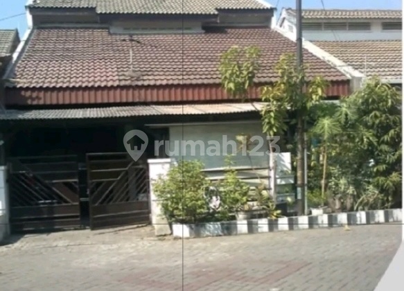Pandugo Surabaya 1