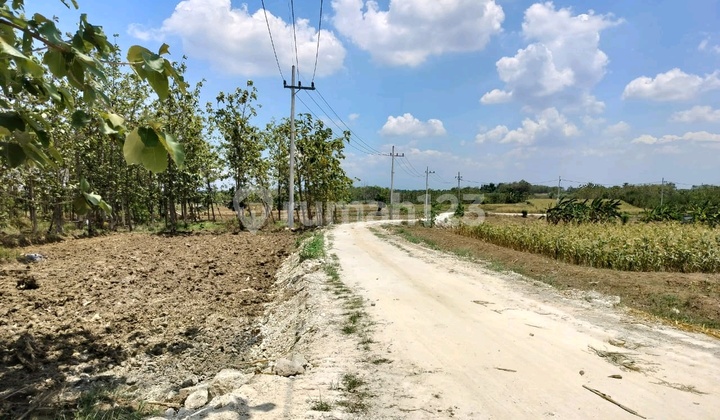 Kedamean Gresik Land