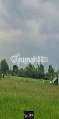 Exclusive Strategic Greenland Plots Exclusive Strategic Greenland Plots