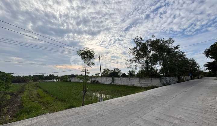 Cerme Gresik Land for Quick Sale