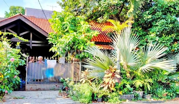 Murah !! Dijual Rumah Tua Hook di Jl Cumi Cumi Rawamangun Strategis Murah !! Dijual Rumah Tua Hook di Jl Cumi Cumi Rawamangun Strategis