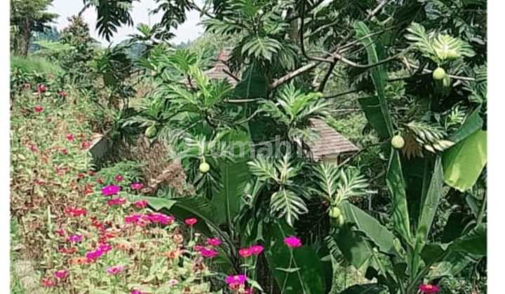 Murah !! DIJUAL VILLA MEGA MENDUNG CANTIK DAN TENANG SUASANA PEDESAAN YANG ASRI Murah !! DIJUAL VILLA MEGA MENDUNG CANTIK DAN TENANG SUASANA PEDESAAN YANG ASRI