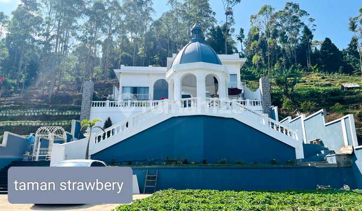 DIJUAL VILLA MEWAH DI BANDUNG ADA TAMAN STRAWBERRY DIJUAL VILLA MEWAH DI BANDUNG ADA TAMAN STRAWBERRY