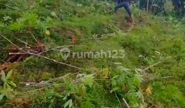 Tanah SHM Lokasi Strategis di Sukakersa, Parakansalak, Sukabumi Tanah SHM Lokasi Strategis di Sukakersa, Parakansalak, Sukabumi