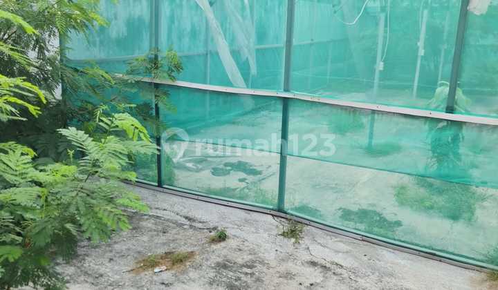 TANAH DI KEMANG DALEM 192MTR HARGA 5,5 MILIAR