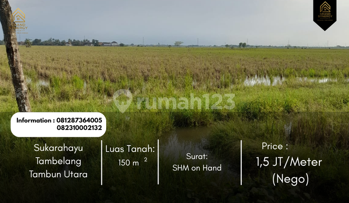 Tanah Kavling 150 Meter dibawah Pasaran di Tambelang,,Yakinlah,,,