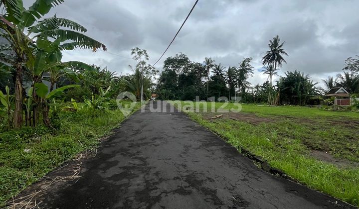 Tanah Kavling Mulai 1 Are di Dukuh Sari 8, Buruan, Gianyar