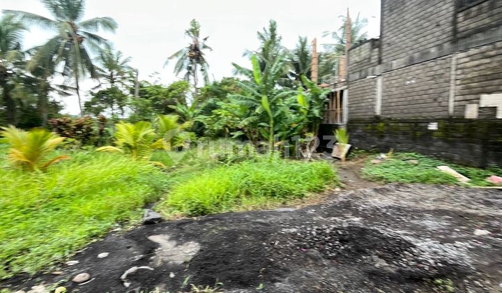 Flood-Free Land 330 M2 in Medahan, Gianyar