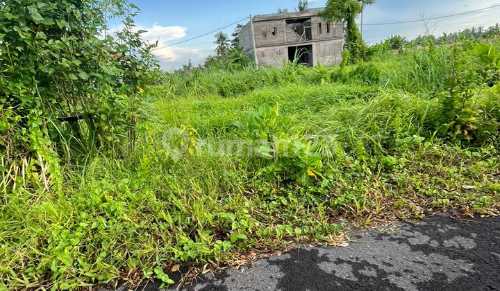 Tanah 1,15 Are Dukuh Sari 3, Buruan, Blahbatuh, Gianyar Tanah 1,15 Are Dukuh Sari 3, Buruan, Blahbatuh, Gianyar