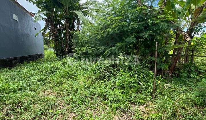 100 M2 Land in Keramas, Gianyar