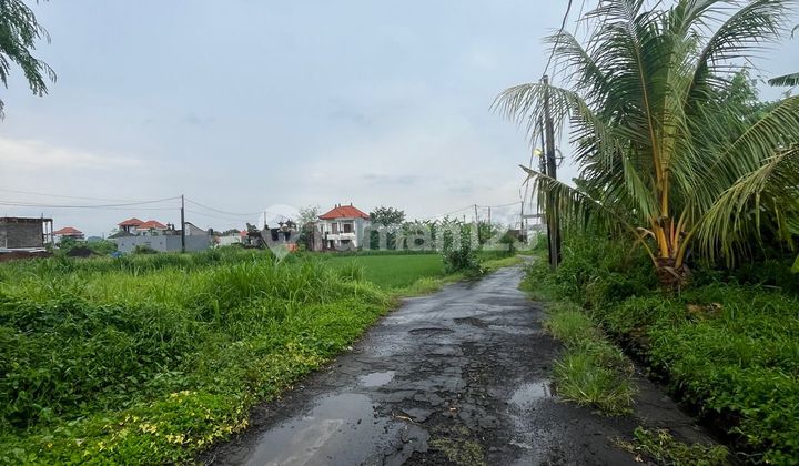 Land 150 M2 in Abianbase, Gianyar