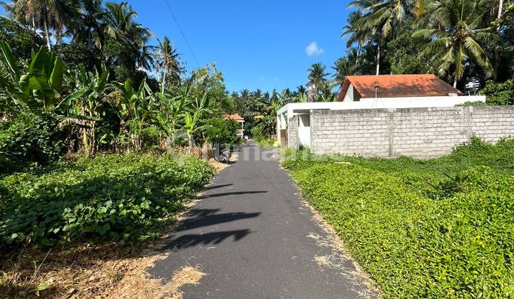 Tanah 1,5 Are di Dukuh Sari 8, Buruan, Blahbatuh, Gianyar Tanah 1,5 Are di Dukuh Sari 8, Buruan, Blahbatuh, Gianyar