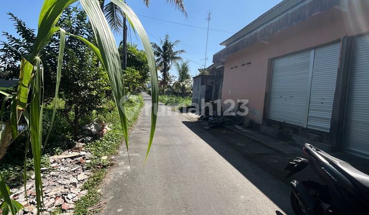 Tanha 385 M2 north of Dipta Stadium, Buruan, Gianyar