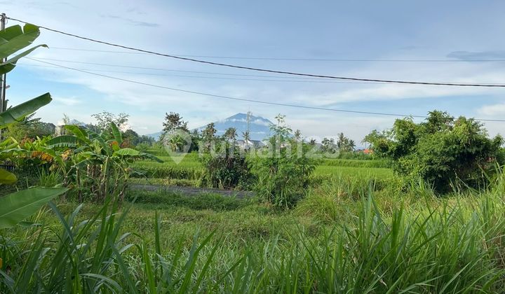 Tanah 1,15 Are Dukuh Sari 3, Buruan, Blahbatuh, Gianyar Tanah 1,15 Are Dukuh Sari 3, Buruan, Blahbatuh, Gianyar