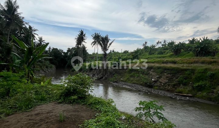 Land Plot, in Saba, Blahbatuh