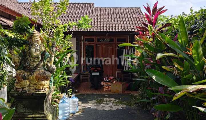 House in Buruan, Gianyar