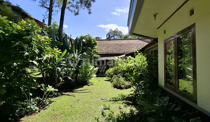Jarang Ada!! Rumah Adem & Homey, Rumah Di Tengah Kota Bandung 2