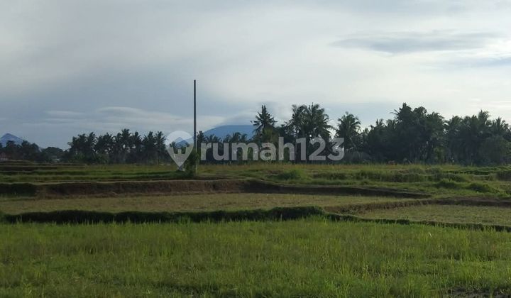 Rare Listing! Tanah 500 M² SHM di Peliatan Ubud, Dekat Bebek Tepi Sawah Rare Listing! Tanah 500 M² SHM di Peliatan Ubud, Dekat Bebek Tepi Sawah
