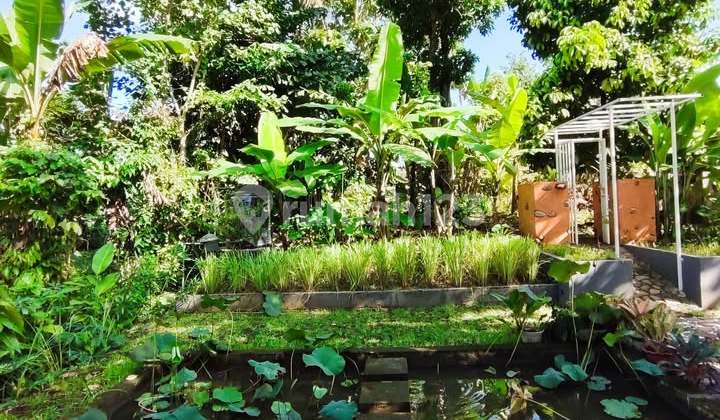 Triangle Wooden Cabin 2BR for 3-Month Rental 2