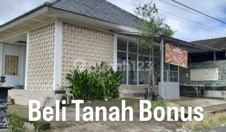 Dijual Tanah 1.012 M² + Bonus Rumah View Lereng Gunung Dekat Jatiluwih Rice Terraces Dijual Tanah 1.012 M² + Bonus Rumah View Lereng Gunung Dekat Jatiluwih Rice Terraces