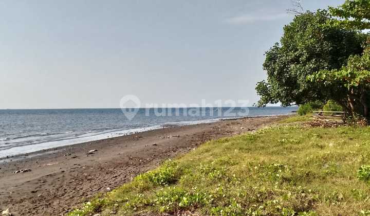 Dijual Tanah 3 Ha Loss Pantai Lovina Bali View Lengkap Gunung, Sawah & Laut Dijual Tanah 3 Ha Loss Pantai Lovina Bali View Lengkap Gunung, Sawah & Laut